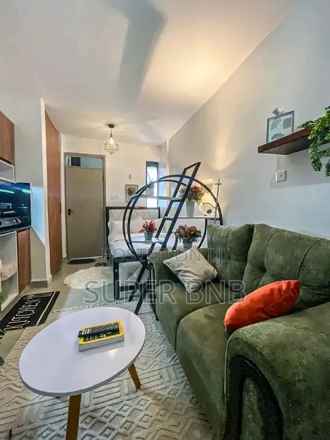Furnished 1 Bedroom and Studio Available Sunton Kasarani Mwiki Road
