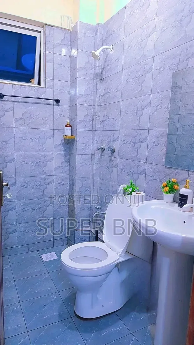 Furnished 1 2 Bedroom Apartments in Mombasa Bamburi Nyali Centre