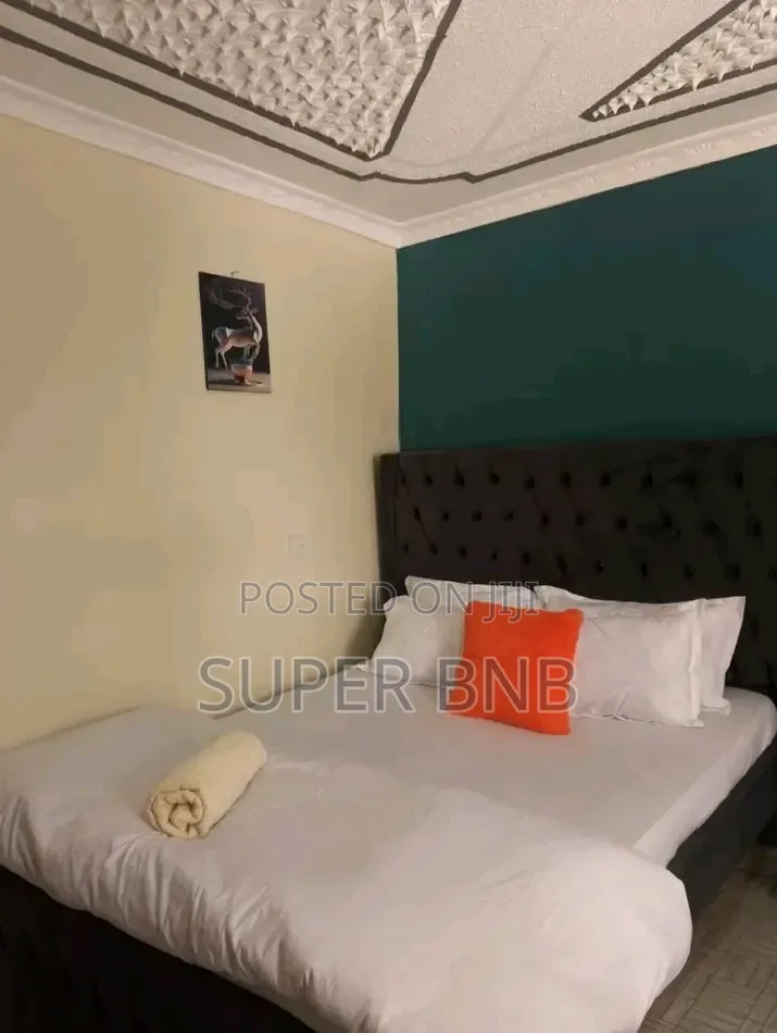 Fully Furnished Studio BNB in Donholm Along Spine Road Greenspan