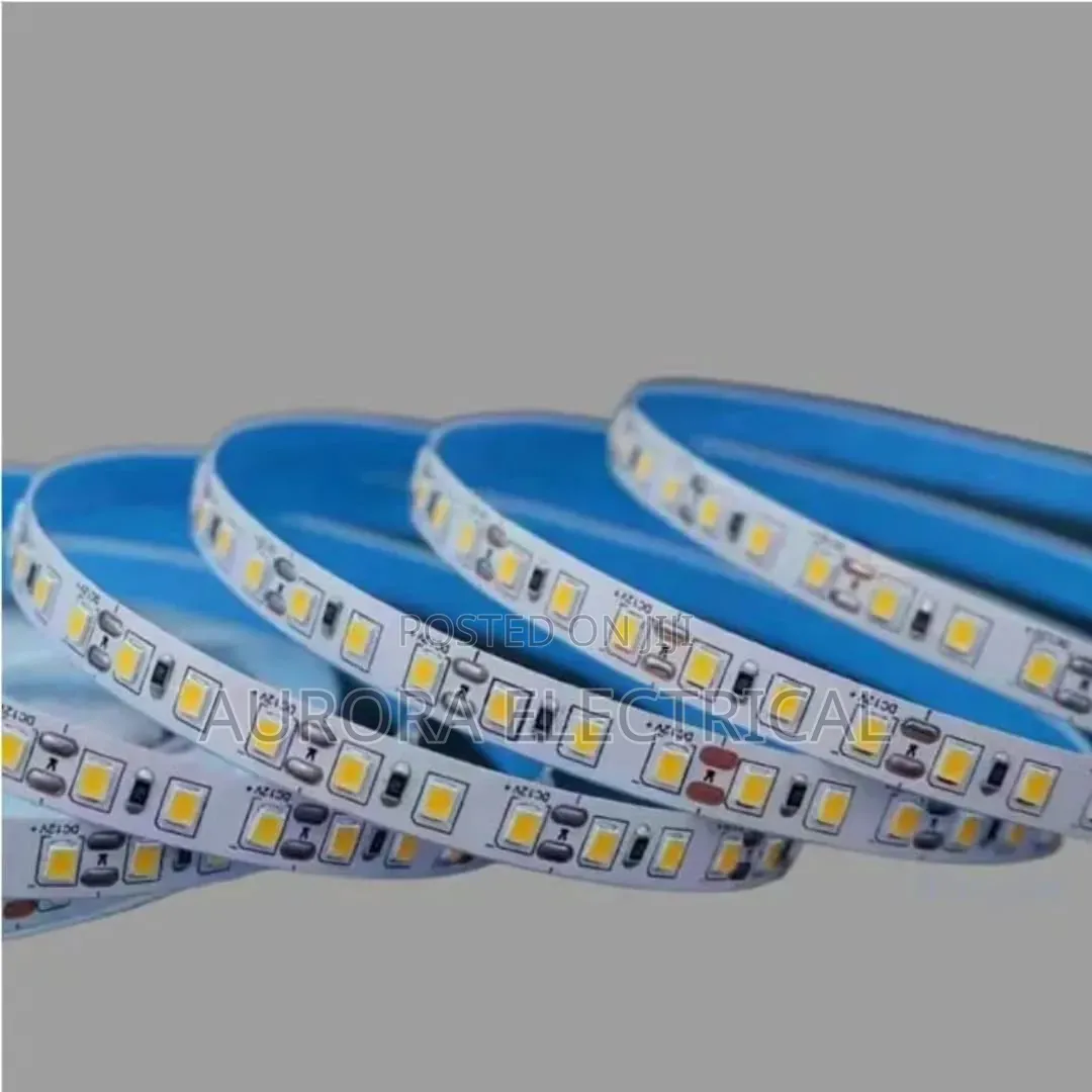 SMD 10m Snake Light