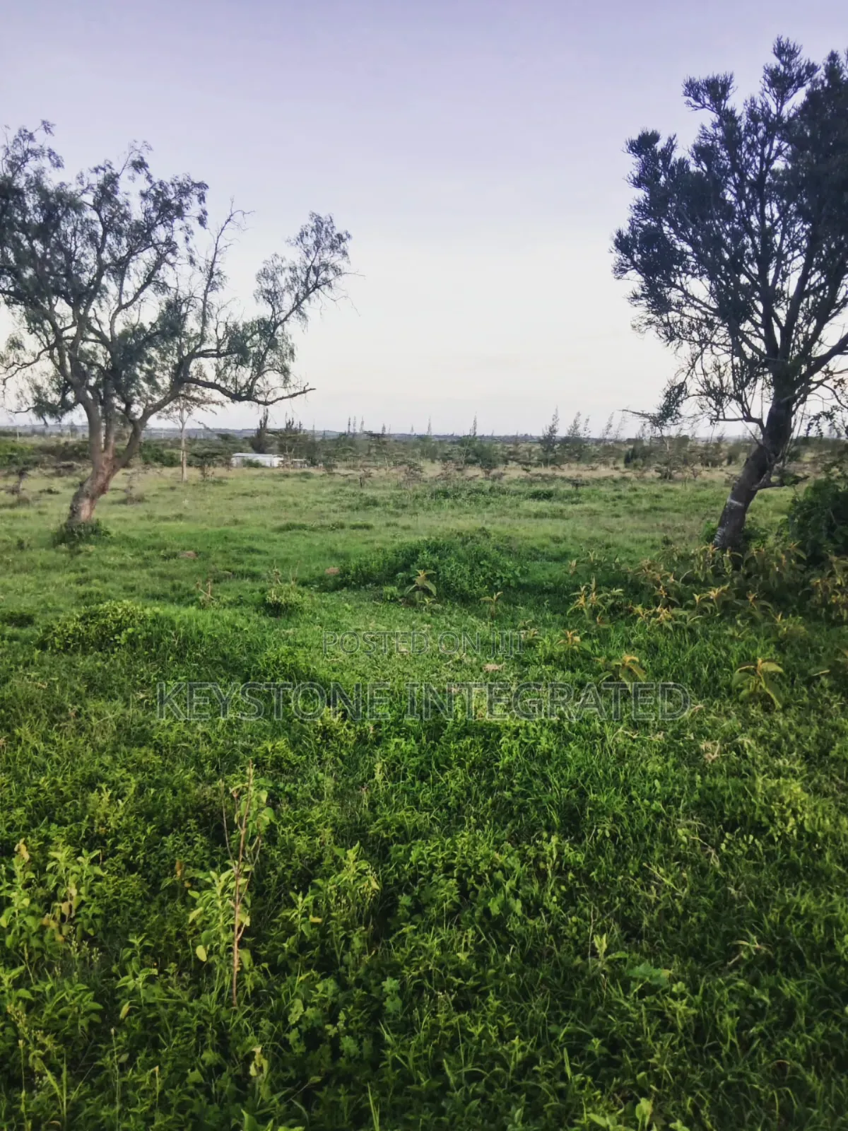 2 Acre Land for Sale in Elmasi,Kajiado