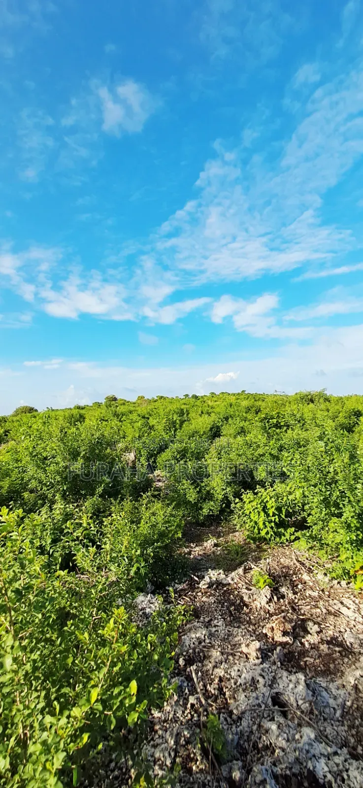For Sale 4 Acres 2nd Raw Land Watamu
