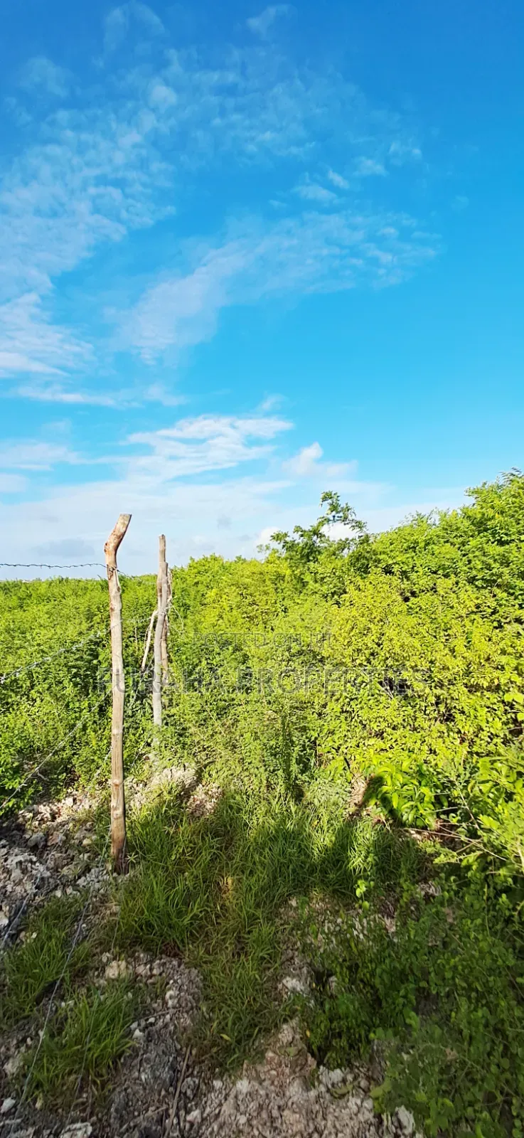 For Sale 4 Acres 2nd Raw Land Watamu