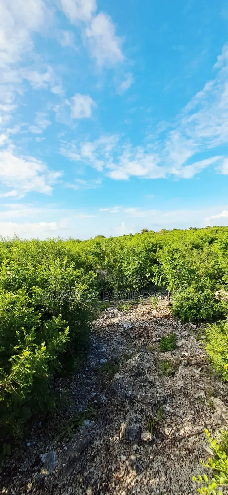 For Sale 4 Acres 2nd Raw Land Watamu