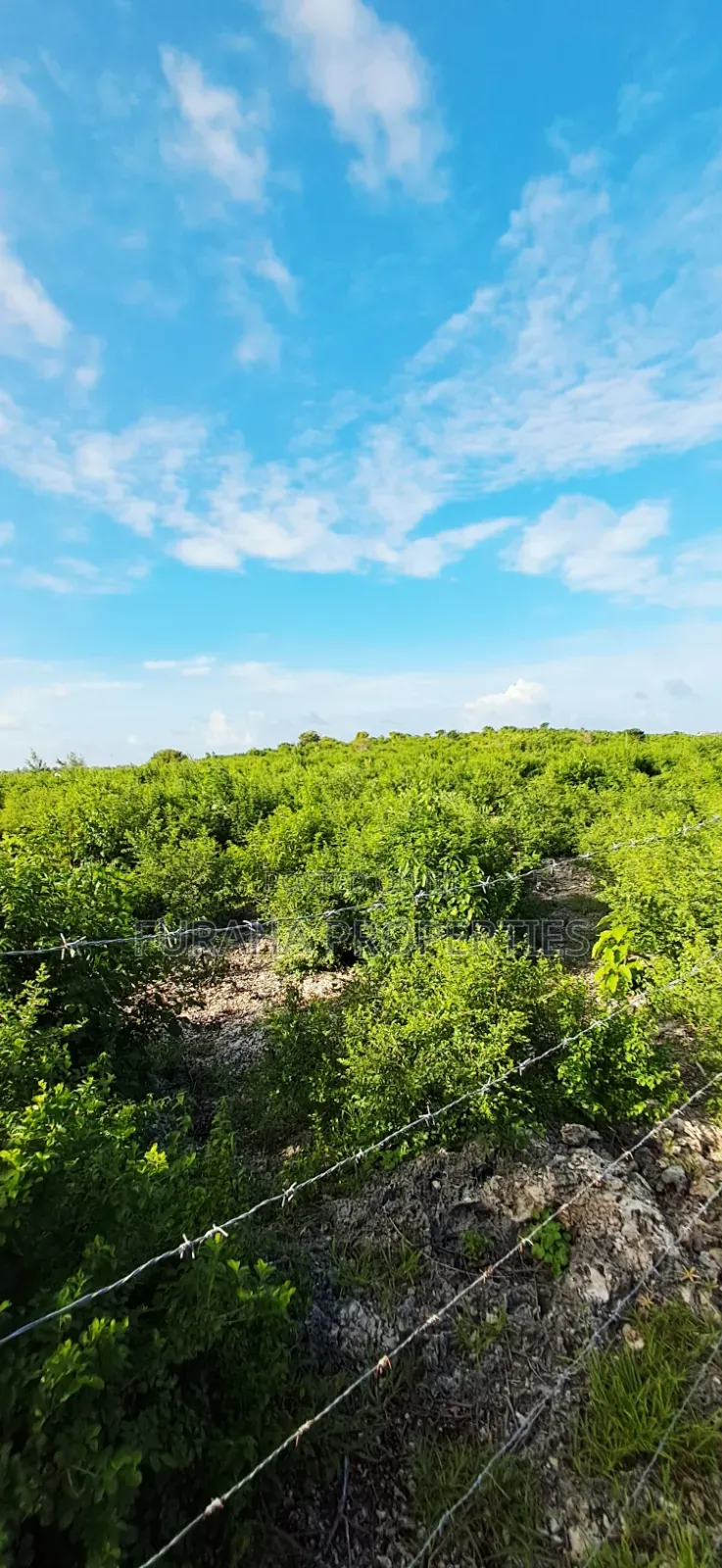For Sale 4 Acres 2nd Raw Land Watamu