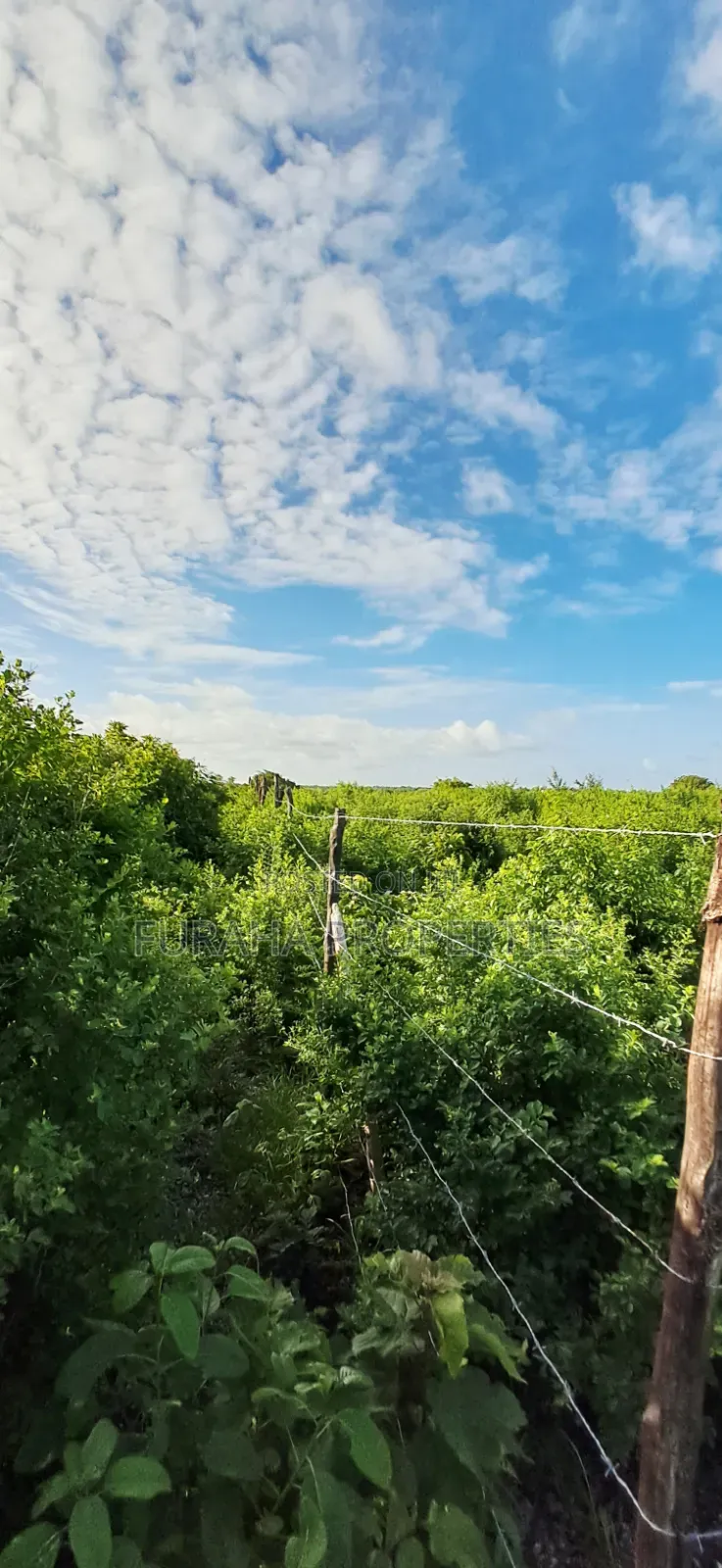 For Sale 4 Acres 2nd Raw Land Watamu