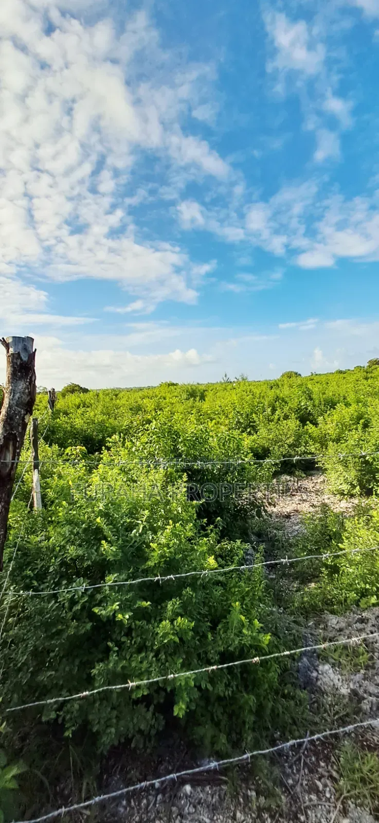 For Sale 4 Acres 2nd Raw Land Watamu