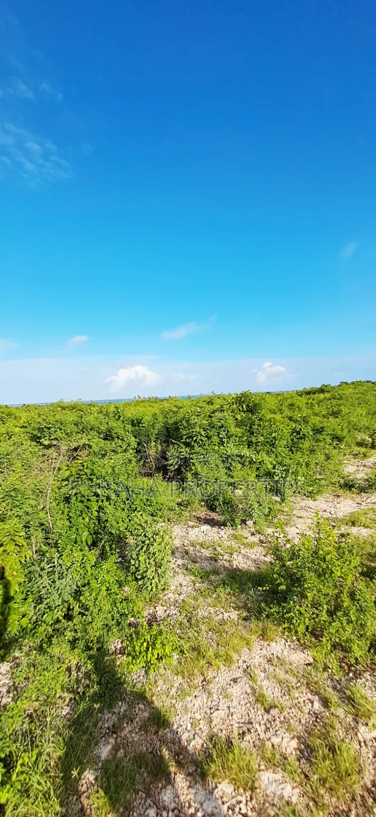 For Sale 4 Acres 2nd Raw Land Watamu