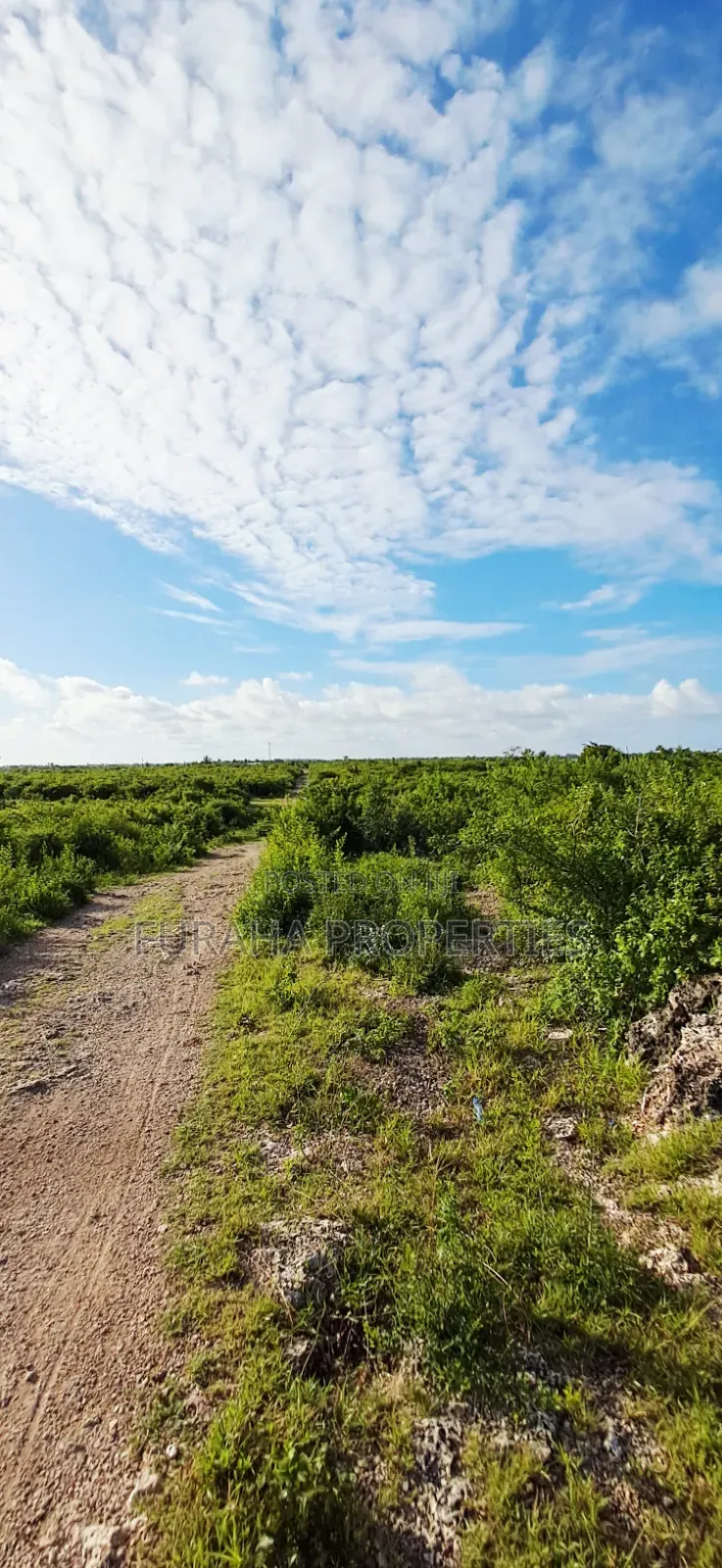 For Sale 4 Acres 2nd Raw Land Watamu