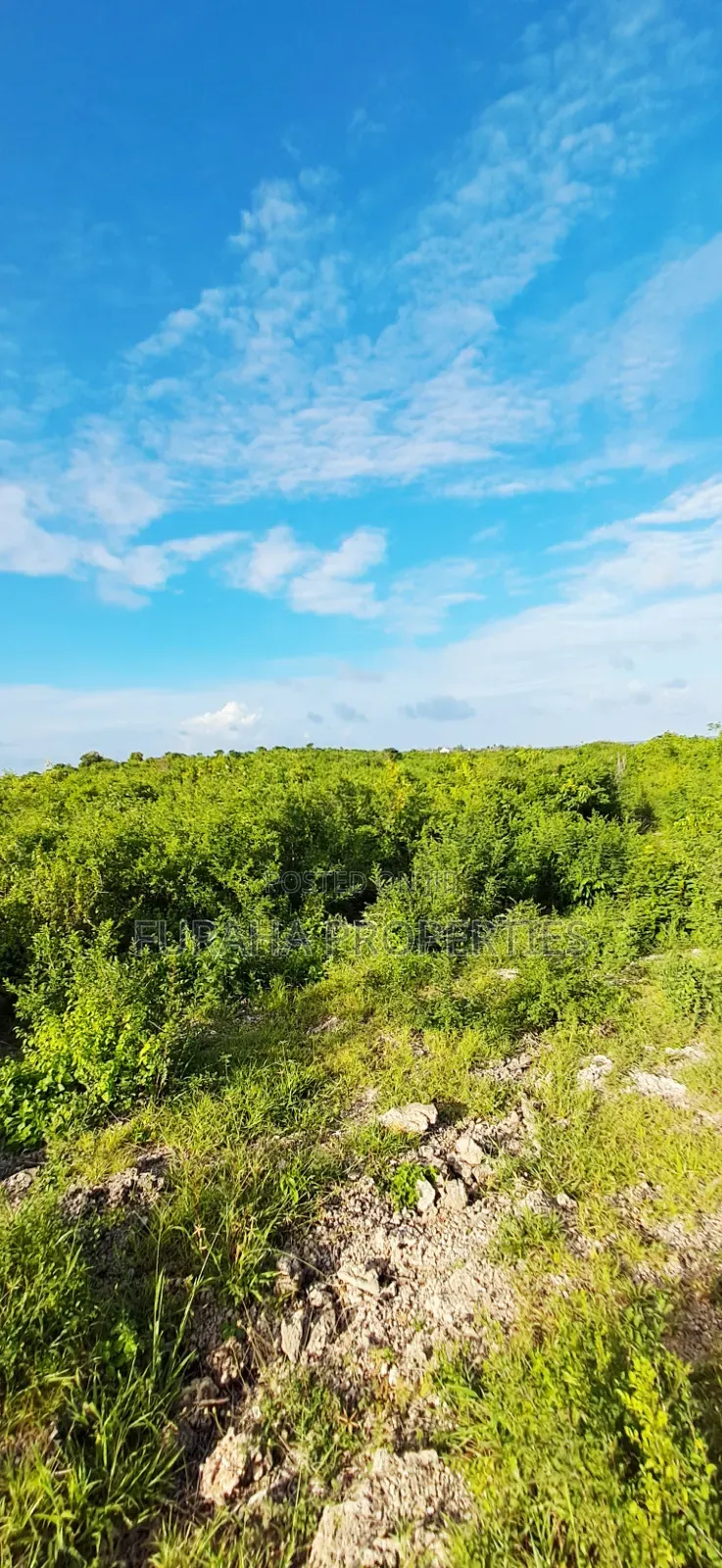 For Sale 4 Acres 2nd Raw Land Watamu