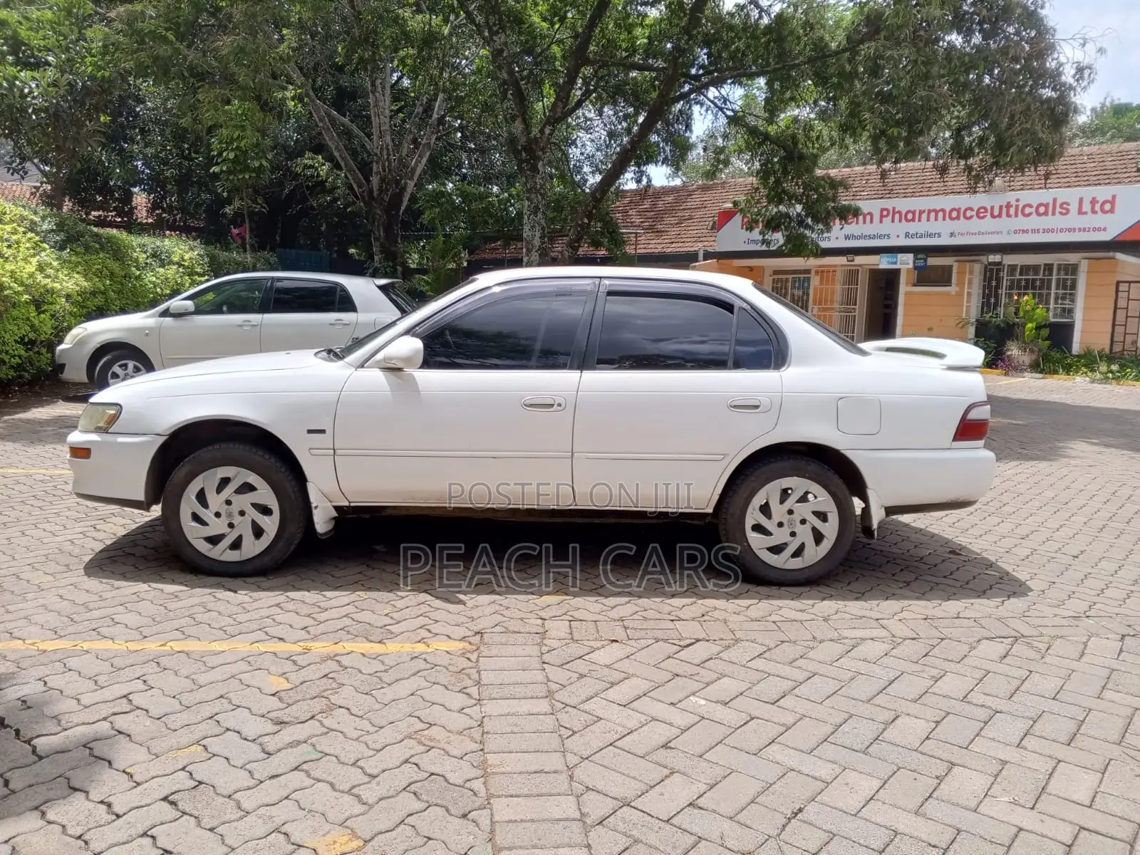 Toyota Corolla 1994 White