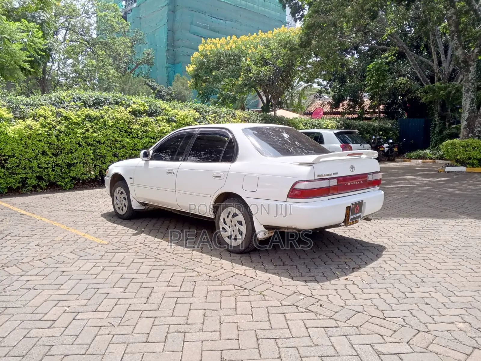Toyota Corolla 1994 White
