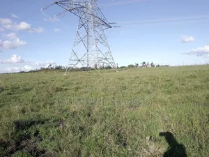 Affordable Plots in Kitengela