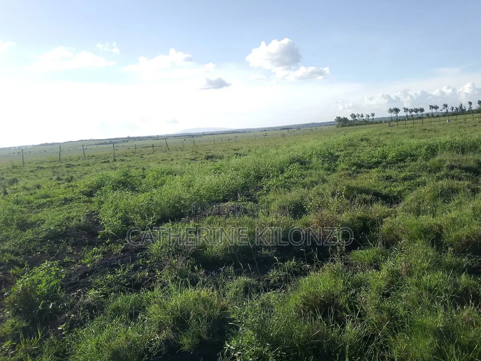 Affordable Plots in Kitengela