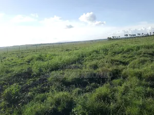 Affordable Plots in Kitengela