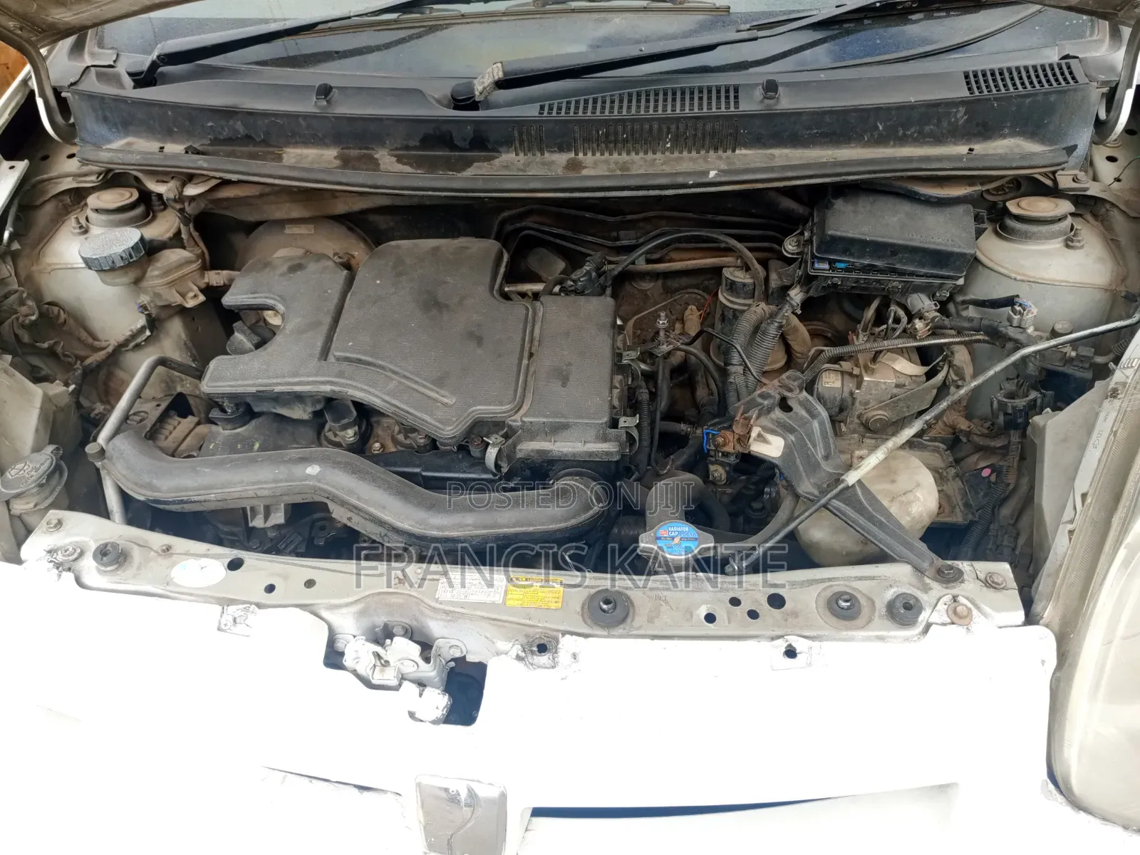 Toyota Passo 2012 White