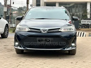 Toyota Corolla Fielder 2018 Black