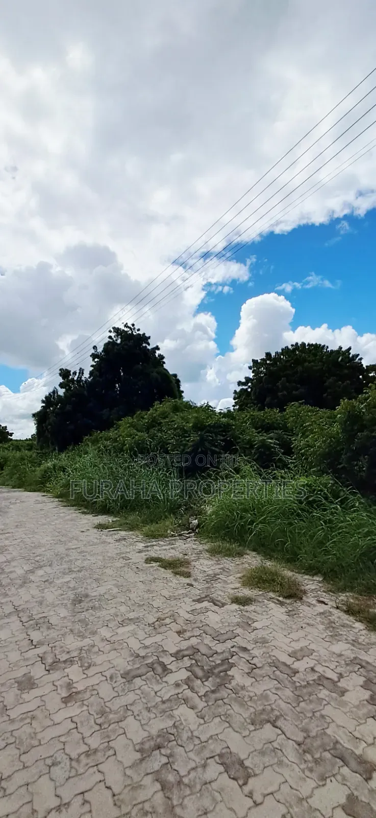 For Sale Eigth of an Acre Plots Malindi