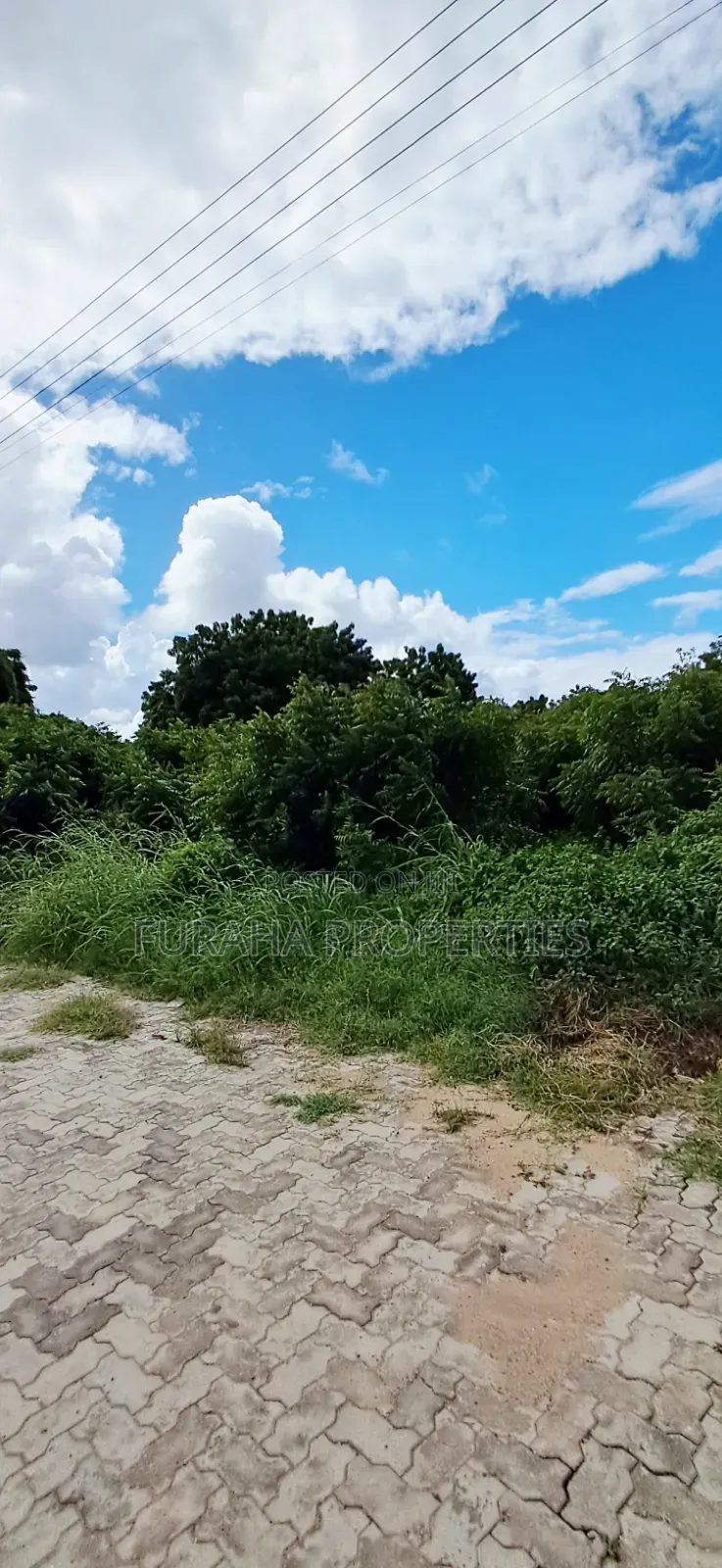 For Sale Eigth of an Acre Plots Malindi