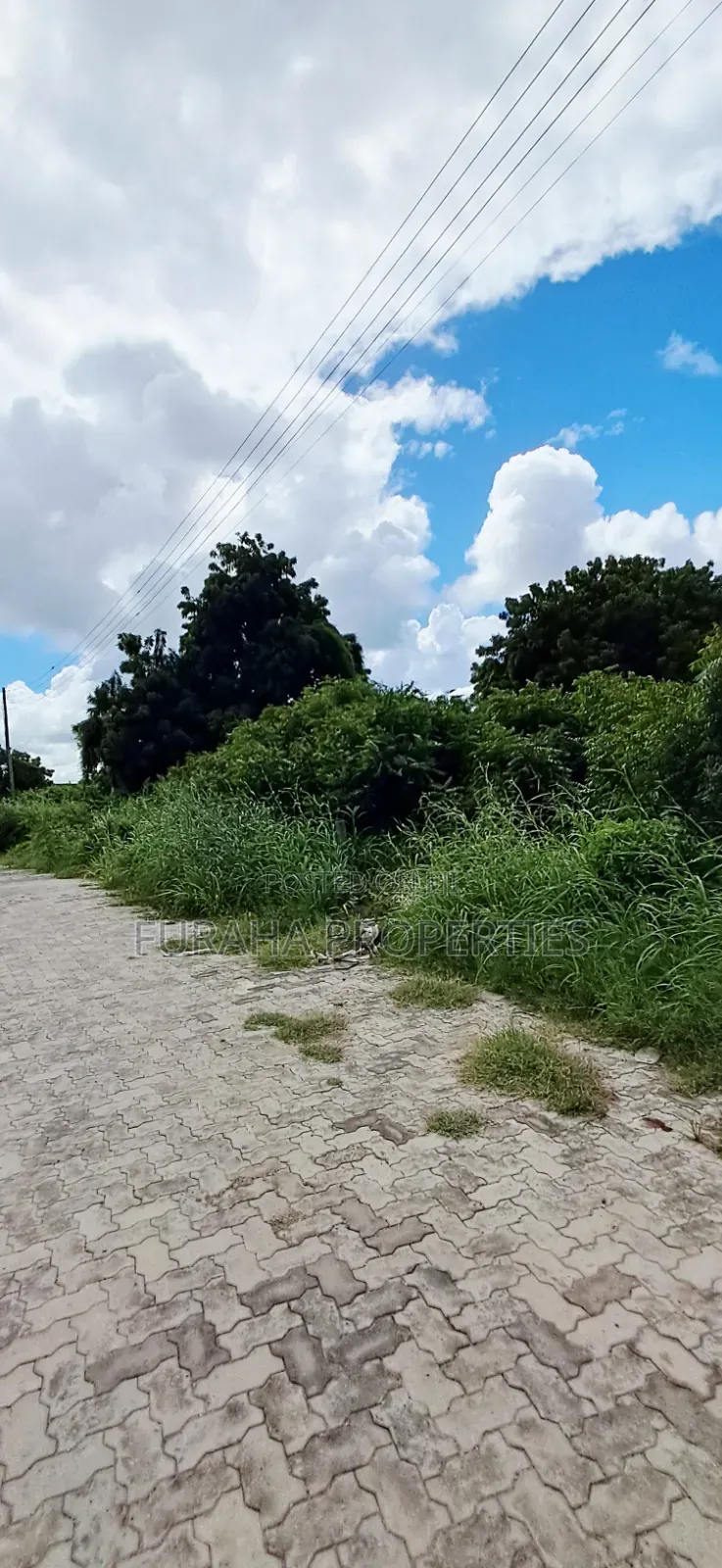 For Sale Eigth of an Acre Plots Malindi