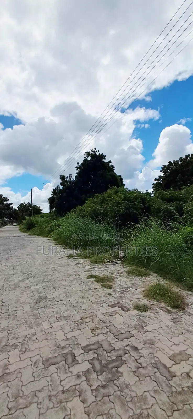 For Sale Eigth of an Acre Plots Malindi