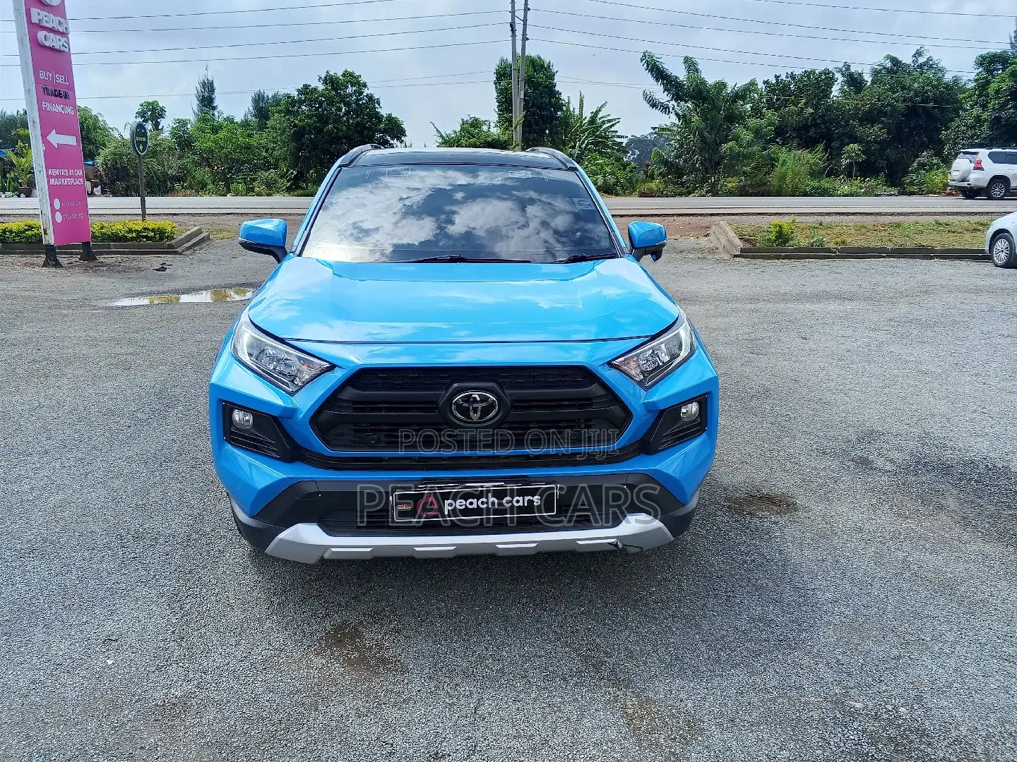 Toyota RAV4 2019 Blue