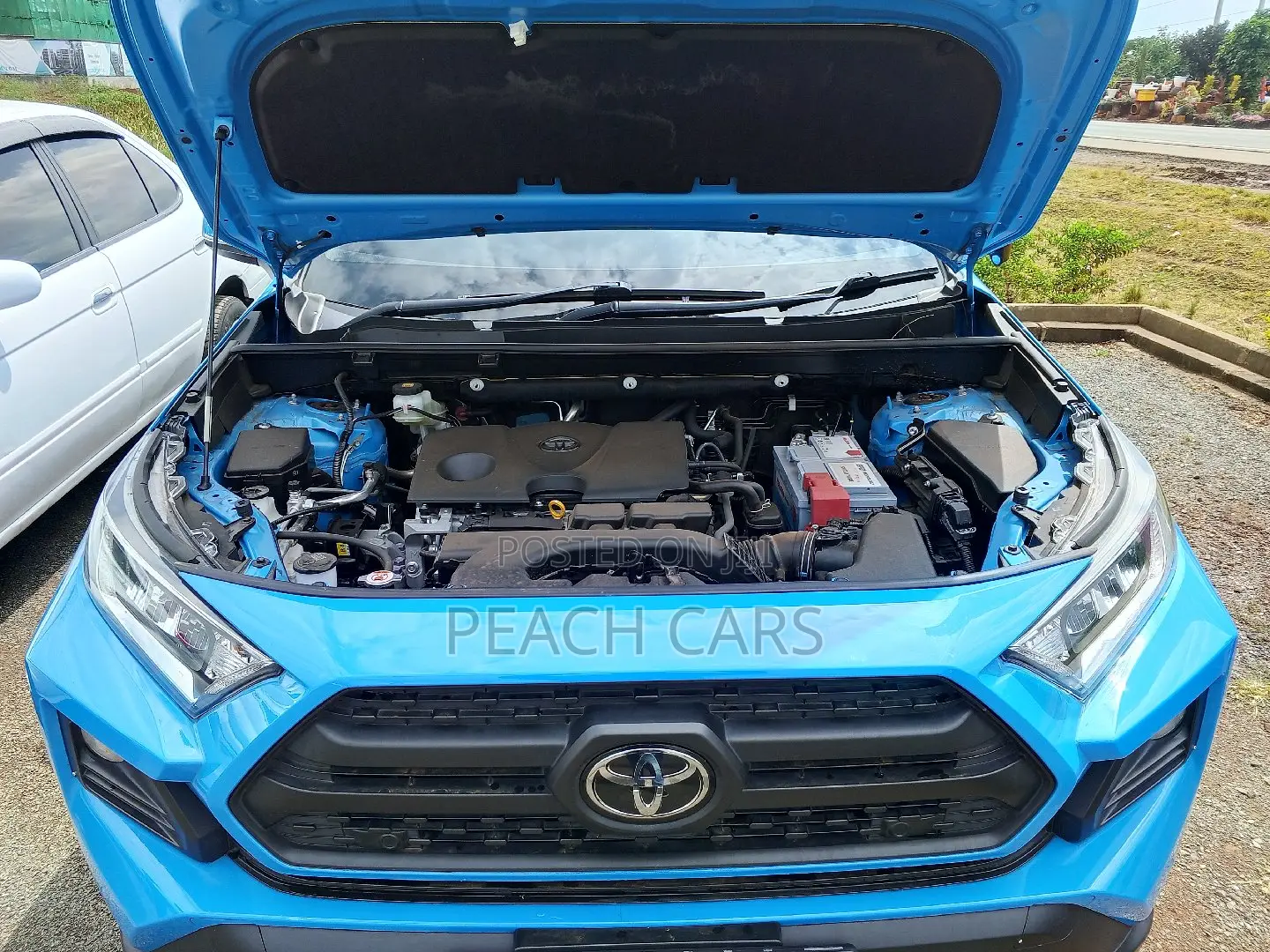 Toyota RAV4 2019 Blue