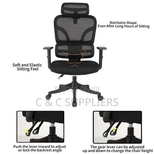 Orthopedic Reclining Modern Chair