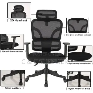 Orthopedic Reclining Modern Chair