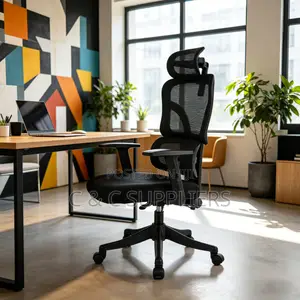 Orthopedic Reclining Modern Chair