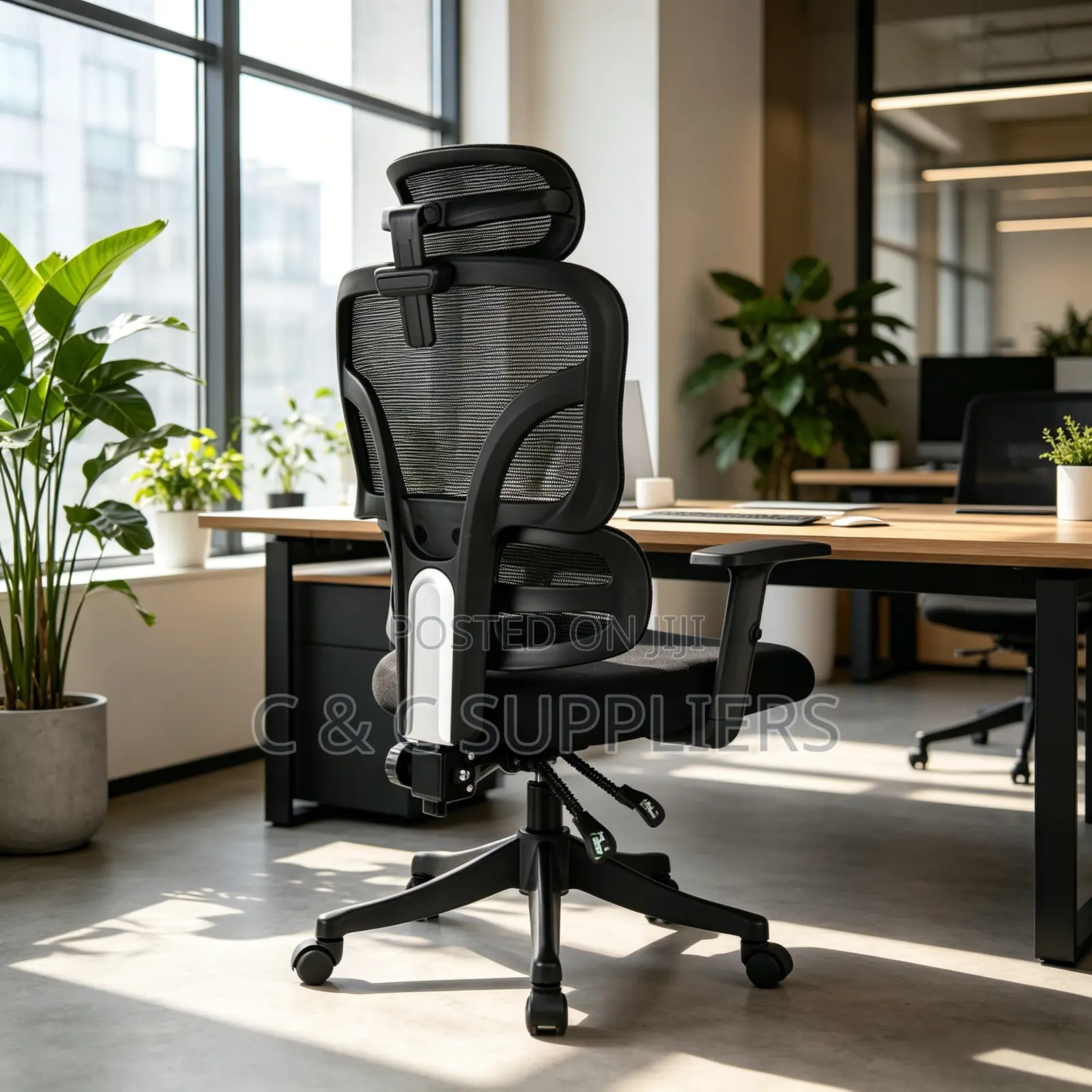 Orthopedic Reclining Modern Chair