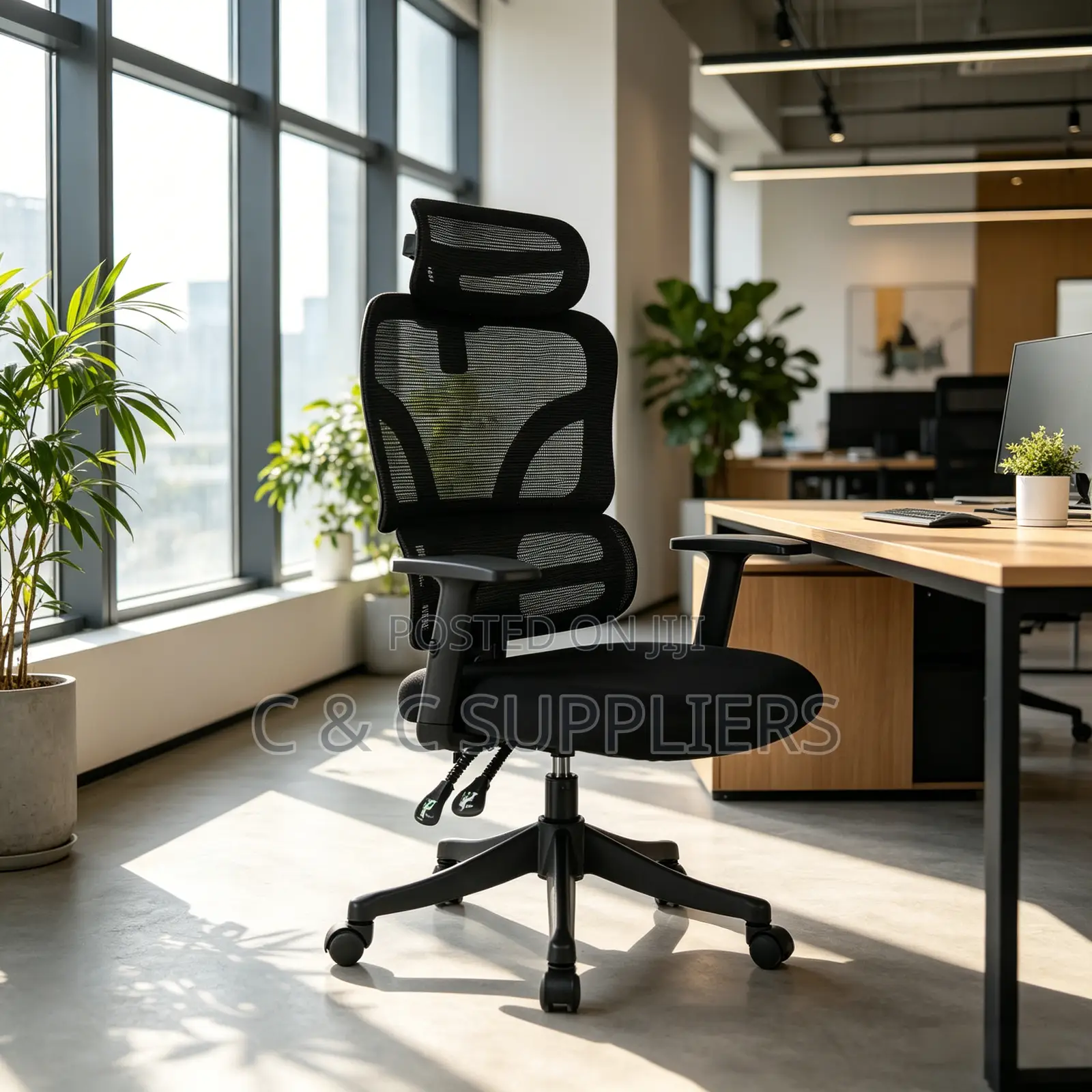 Orthopedic Reclining Modern Chair