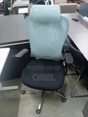 Office Chair : Revolving Mesh Office Chair