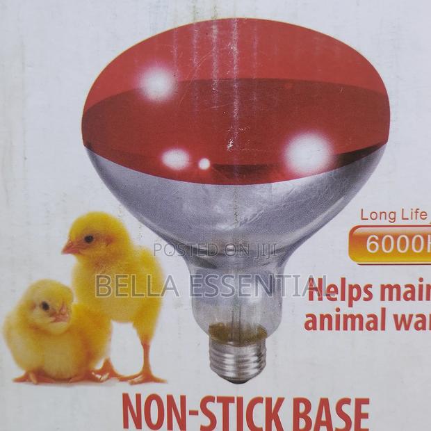 Chicken Bulb( Infrared Bulb) - thumbnail 2