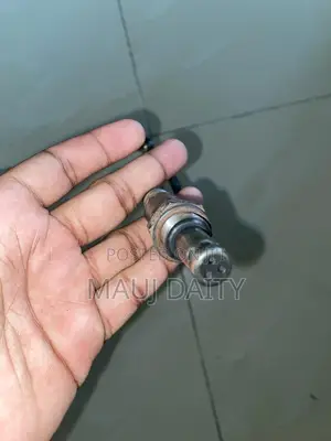 Oxygen Sensor