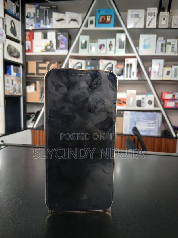 Apple iPhone 12 Pro Max 128 GB Gray - thumbnail 2