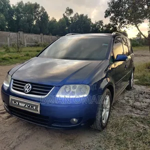 Volkswagen Touran 2007 Blue