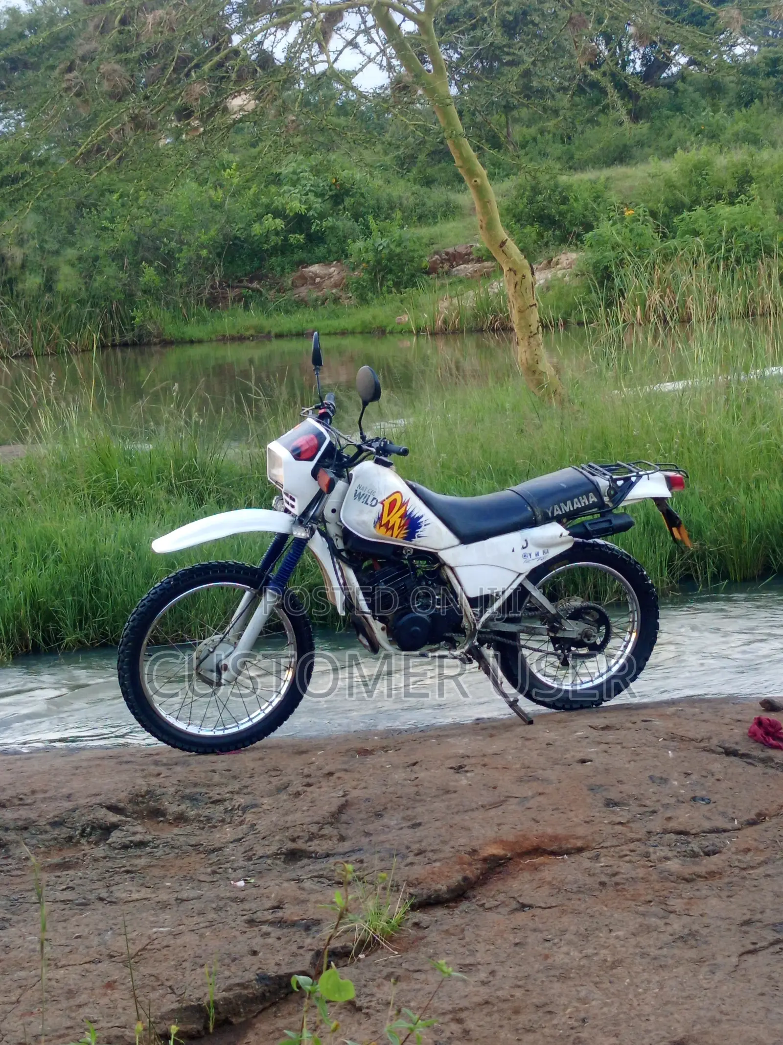 Yamaha DT125 2002 White