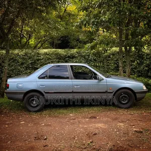 Peugeot 405 1996 Blue