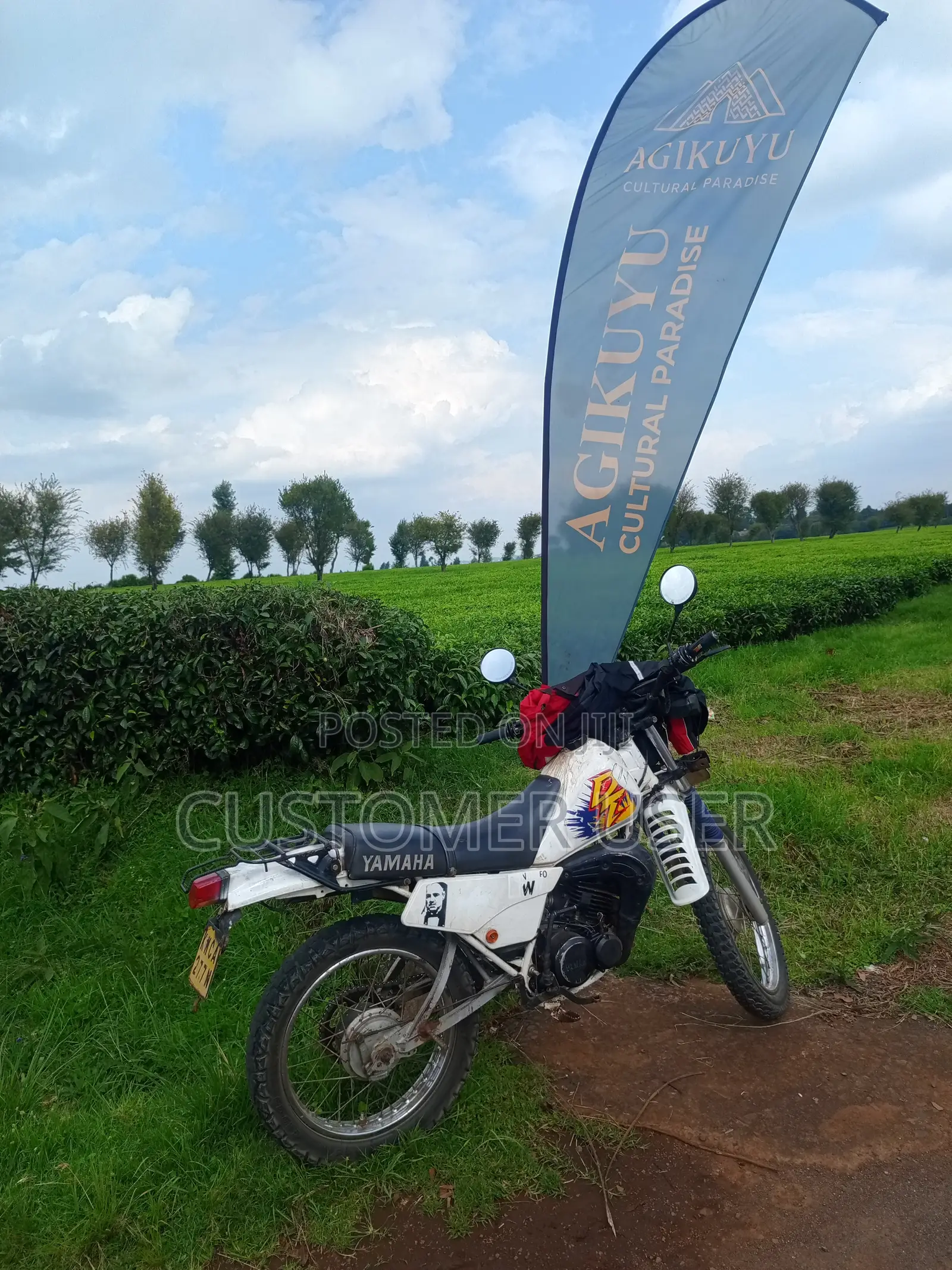 Yamaha DT125 2002 White