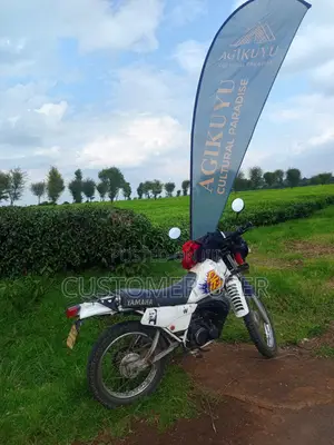 Yamaha DT125 2002 White