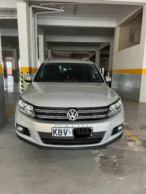 Volkswagen Tiguan SE 2013 Silver