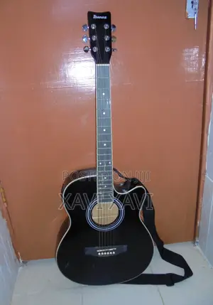 Semi Acoustic Guitar