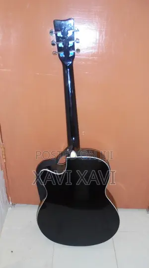 Semi Acoustic Guitar