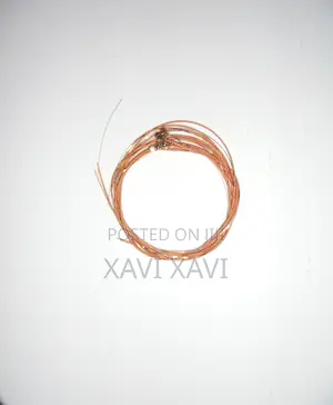 Semi Acoustic Guitar