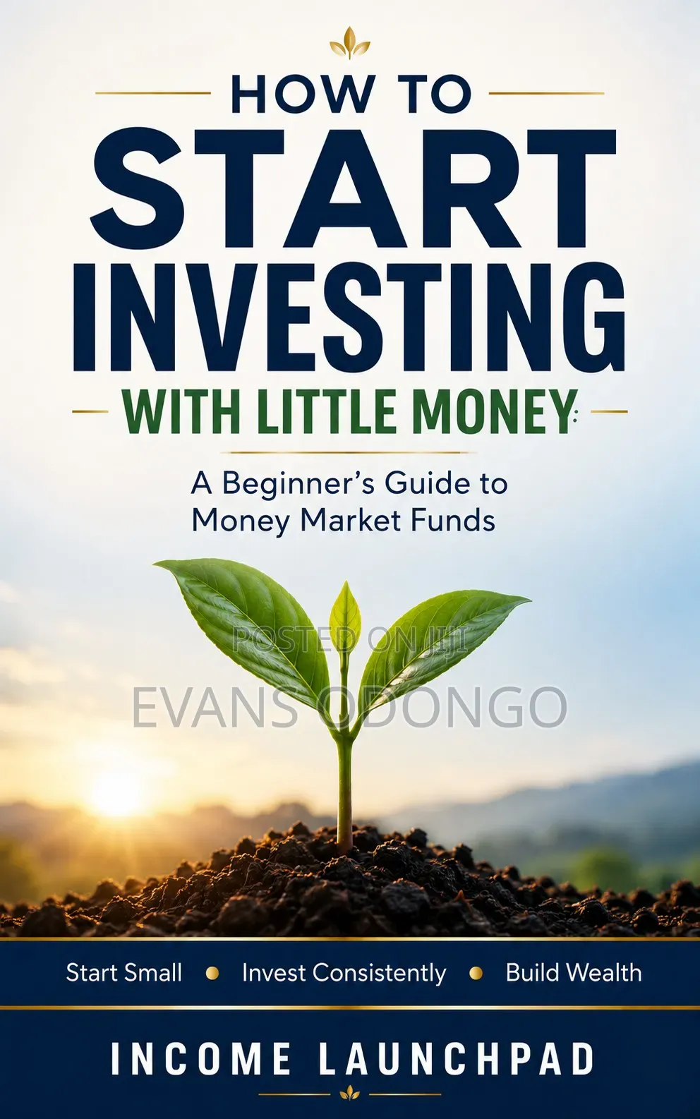 How to Start Investing With Little Money Using MMF