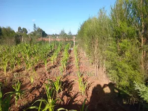 0.1 Acre Only 10km From Eldoret CBD Along Eldoret-Soy