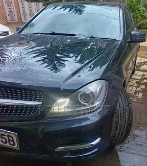 Mercedes-Benz C250 2015 Gray