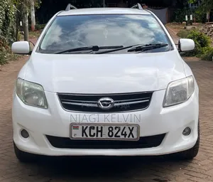 Toyota Corolla Fielder 2009 White