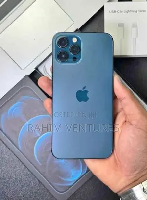 Apple iPhone 12 Pro Max 256 GB Gray
